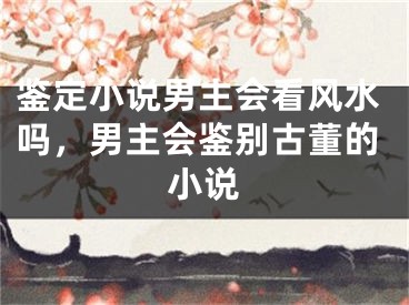 鉴定小说男主会看风水吗，男主会鉴别古董的小说