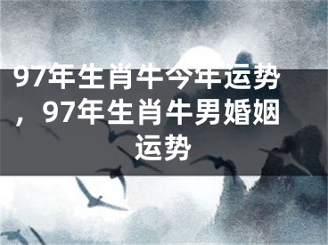 97年生肖牛今年运势，97年生肖牛男婚姻运势
