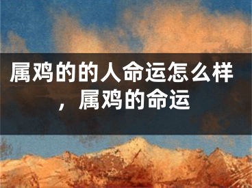 属鸡的的人命运怎么样，属鸡的命运