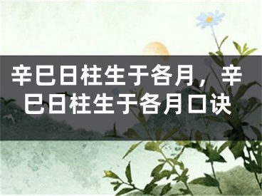 辛巳日柱生于各月，辛巳日柱生于各月口诀