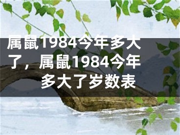 属鼠1984今年多大了，属鼠1984今年多大了岁数表
