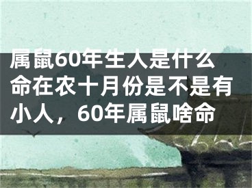 属鼠60年生人是什么命在农十月份是不是有小人，60年属鼠啥命