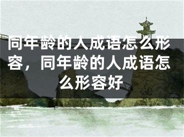 同年龄的人成语怎么形容，同年龄的人成语怎么形容好