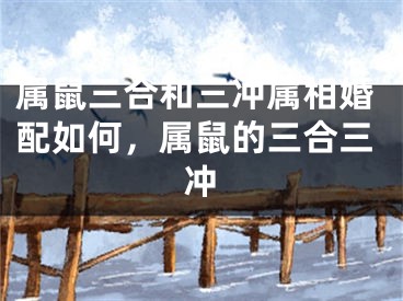 属鼠三合和三冲属相婚配如何，属鼠的三合三冲