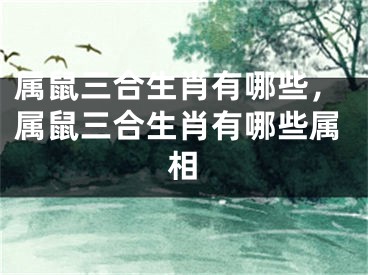 属鼠三合生肖有哪些，属鼠三合生肖有哪些属相