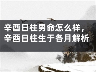 辛酉日柱男命怎么样，辛酉日柱生于各月解析
