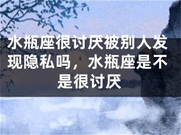 水瓶座很讨厌被别人发现隐私吗,水瓶座是不是很讨厌