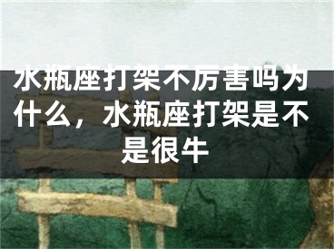 水瓶座打架不厉害吗为什么，水瓶座打架是不是很牛