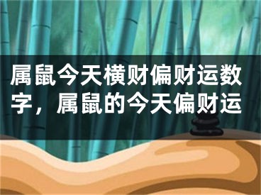 属鼠今天横财偏财运数字,属鼠的今天偏财运