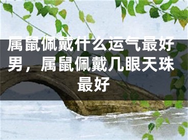 属鼠佩戴什么运气最好男，属鼠佩戴几眼天珠最好