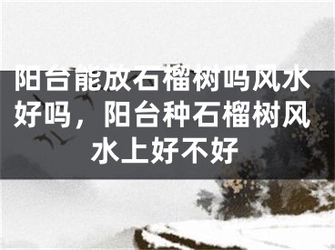 阳台能放石榴树吗风水好吗，阳台种石榴树风水上好不好