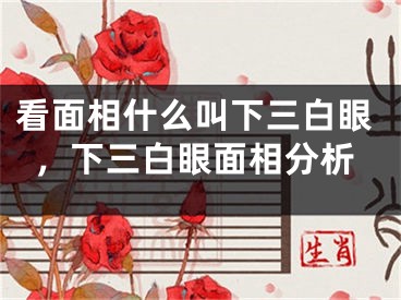 看面相什么叫下三白眼，下三白眼面相分析