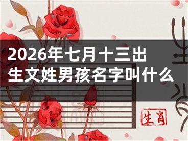 2026年七月十三出生文姓男孩名字叫什么