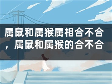 属鼠和属猴属相合不合，属鼠和属猴的合不合