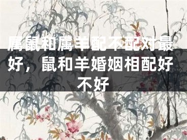 属鼠和属羊配不配对最好，鼠和羊婚姻相配好不好