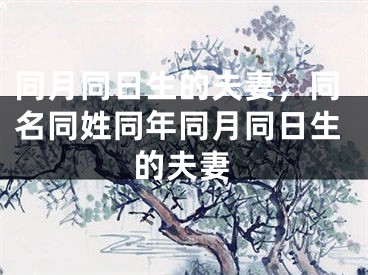 同月同日生的夫妻，同名同姓同年同月同日生的夫妻