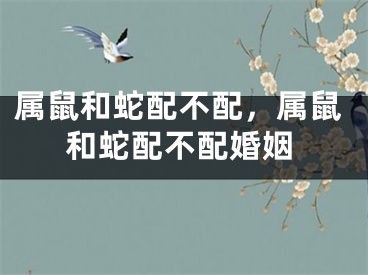 属鼠和蛇配不配，属鼠和蛇配不配婚姻