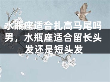 水瓶座适合扎高马尾吗男，水瓶座适合留长头发还是短头发