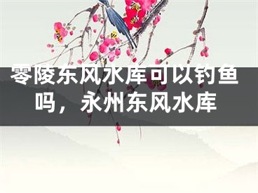 零陵东风水库可以钓鱼吗,永州东风水库