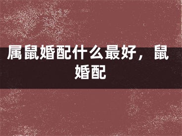 属鼠婚配什么最好,鼠婚配
