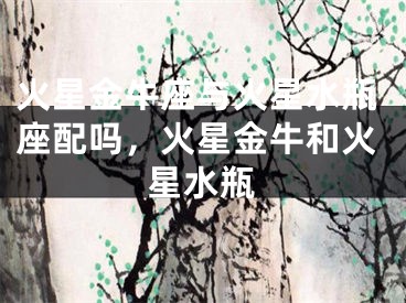 火星金牛座与火星水瓶座配吗,火星金牛和火星水瓶