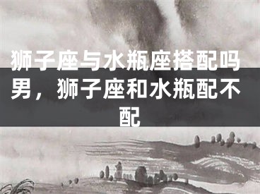 狮子座与水瓶座搭配吗男，狮子座和水瓶配不配
