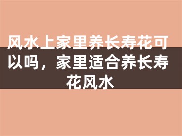 风水上家里养长寿花可以吗,家里适合养长寿花风水