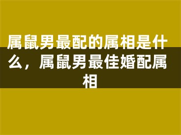 属鼠男最配的属相是什么，属鼠男最佳婚配属相