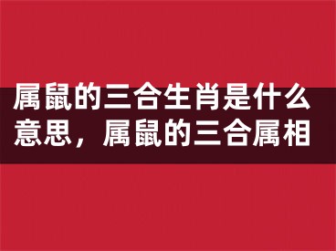 属鼠的三合生肖是什么意思，属鼠的三合属相