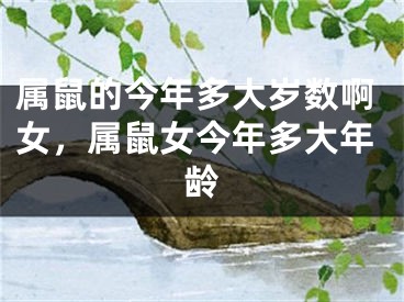 属鼠的今年多大岁数啊女，属鼠女今年多大年龄