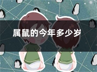 属鼠的今年多少岁