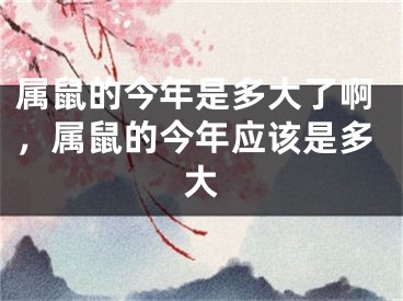 属鼠的今年是多大了啊,属鼠的今年应该是多大