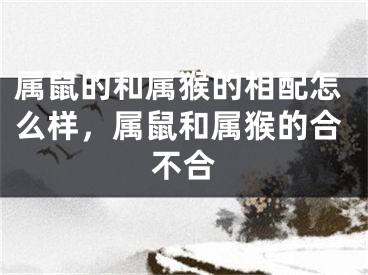 属鼠的和属猴的相配怎么样，属鼠和属猴的合不合