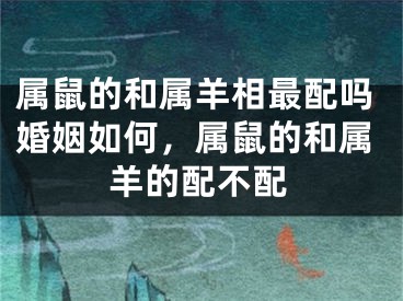 属鼠的和属羊相最配吗婚姻如何,属鼠的和属羊的配不配