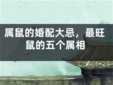 属鼠的婚配大忌，最旺鼠的五个属相