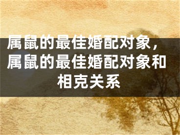 属鼠的最佳婚配对象，属鼠的最佳婚配对象和相克关系
