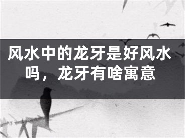 风水中的龙牙是好风水吗，龙牙有啥寓意