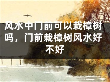 风水中门前可以栽樟树吗，门前栽樟树风水好不好