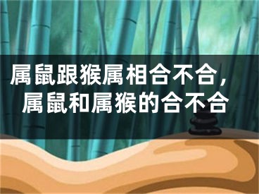 属鼠跟猴属相合不合，属鼠和属猴的合不合