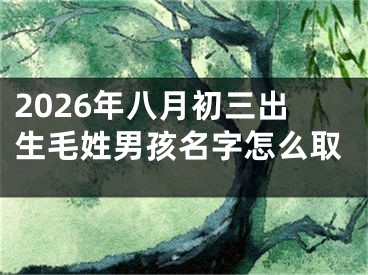 2026年八月初三出生毛姓男孩名字怎么取