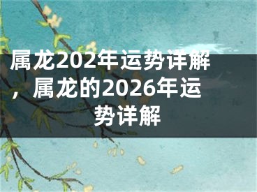 属龙202年运势详解，属龙的2026年运势详解