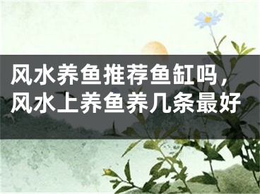 风水养鱼推荐鱼缸吗，风水上养鱼养几条最好