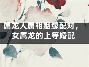 属龙人属相姻缘配对，女属龙的上等婚配