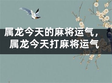 属龙今天的麻将运气，属龙今天打麻将运气