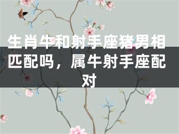 生肖牛和射手座猪男相匹配吗,属牛射手座配对