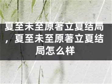 夏至未至原著立夏结局，夏至未至原著立夏结局怎么样