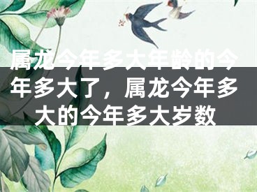 属龙今年多大年龄的今年多大了，属龙今年多大的今年多大岁数