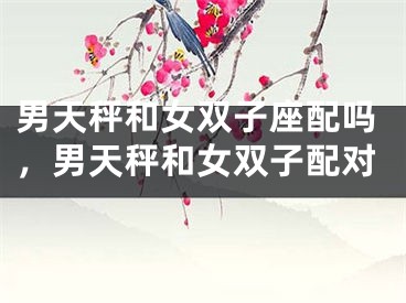 男天秤和女双子座配吗，男天秤和女双子配对
