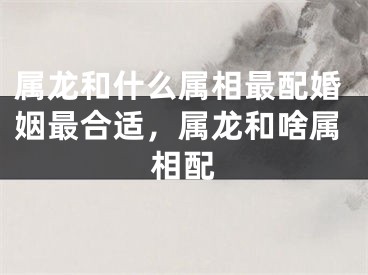 属龙和什么属相最配婚姻最合适，属龙和啥属相配