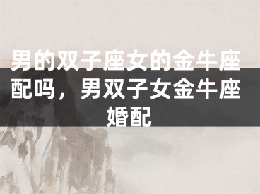 男的双子座女的金牛座配吗,男双子女金牛座婚配